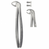 TOOTH FORCEPS FOR CHILDREN